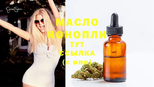 молекула духа Михайловск