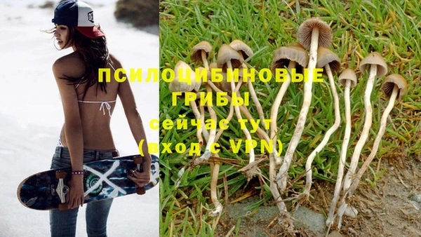 молекула духа Михайловск