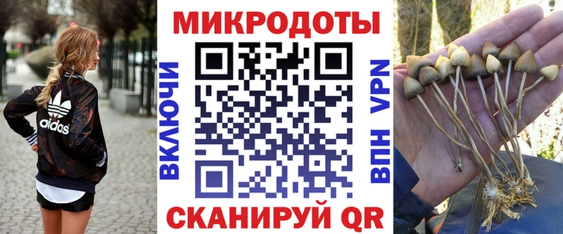 Псилоцибиновые грибы GOLDEN TEACHER  Сатка 