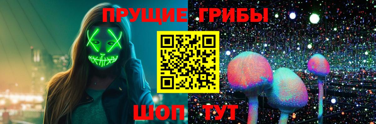 Псилоцибиновые грибы GOLDEN TEACHER  Сатка 