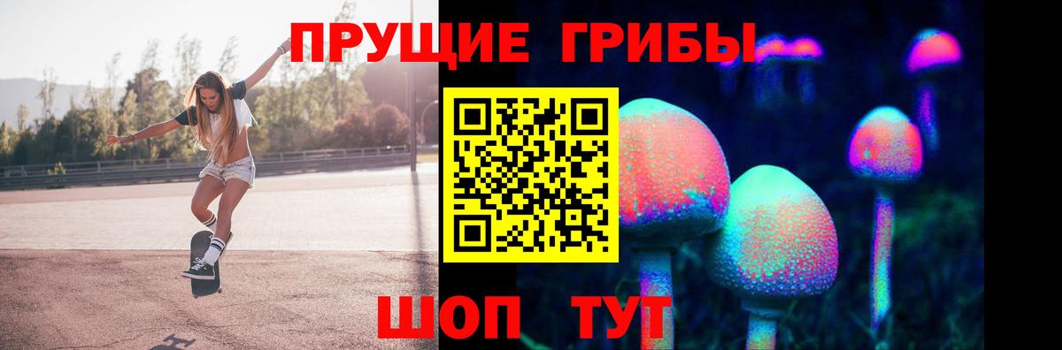 Псилоцибиновые грибы Psilocybe Сатка